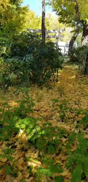 高木神社の自然