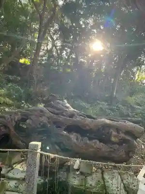 泉神社(茨城県)