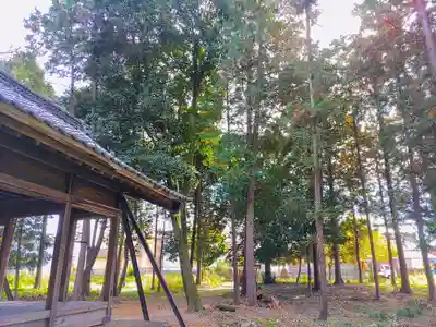 成海神社（羽黒八幡宮）の自然