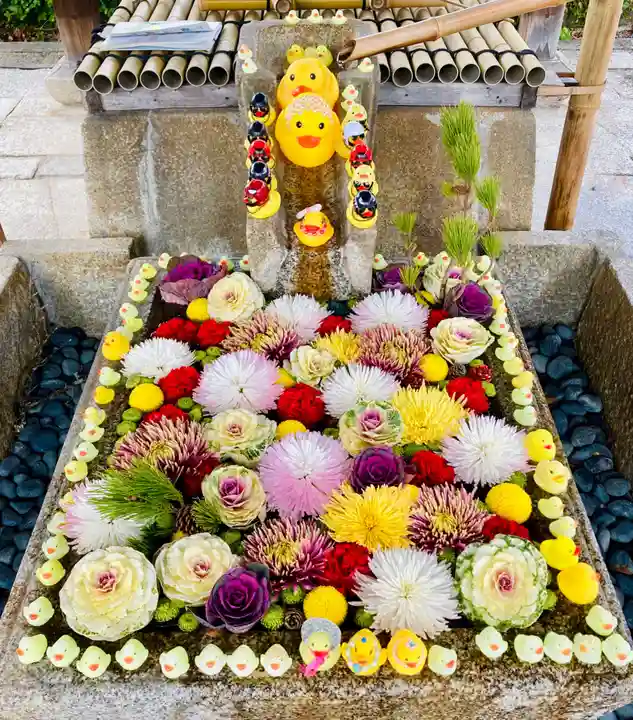 くろ谷 金戒光明寺(京都府)