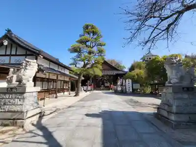 中津大神宮(大分県)