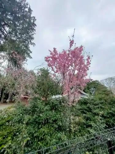 瀧宮神社(埼玉県)