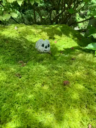 五所駒瀧神社(茨城県)