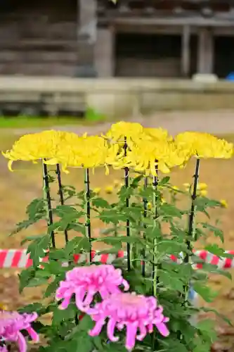 普光寺(新潟県)