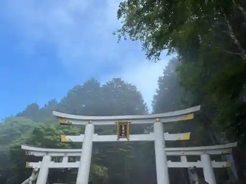 三峯神社(埼玉県)