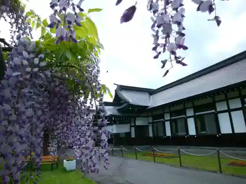 北海道護國神社の自然