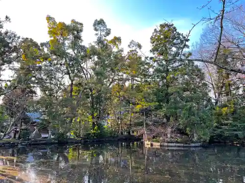 阿自岐神社の庭園