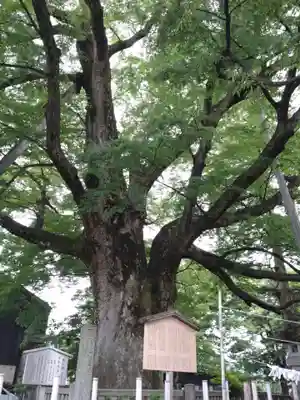 神明宮(石川県)