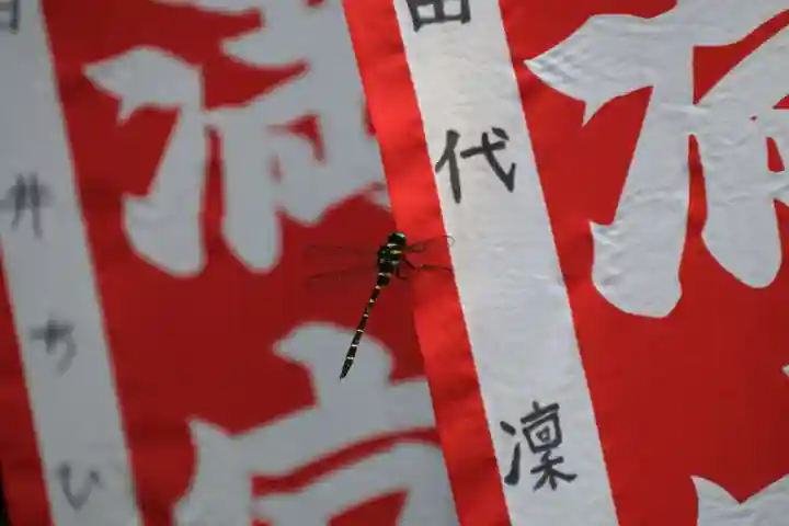 鹿島大神宮の動物