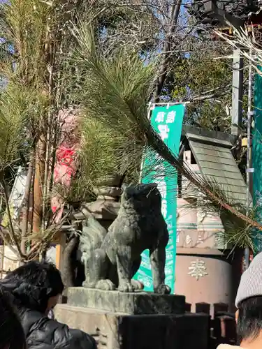 浅草神社の狛犬
