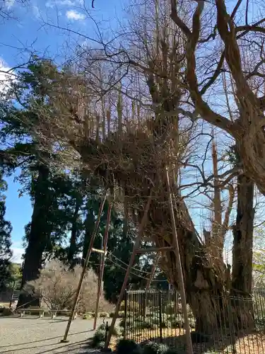 村山浅間神社(静岡県)