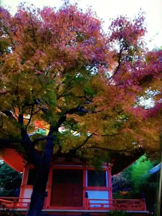 正覚院(東京都)