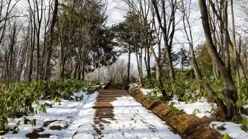 北野神社の自然