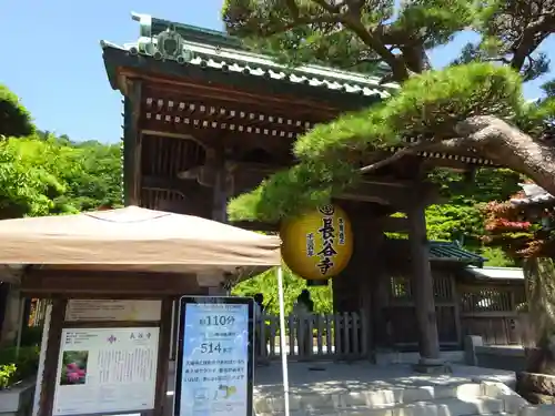 長谷寺の山門・神門