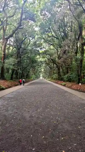 明治神宮(東京都)