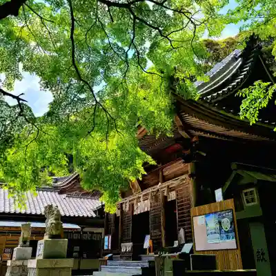 八幡神社松平東照宮(愛知県)