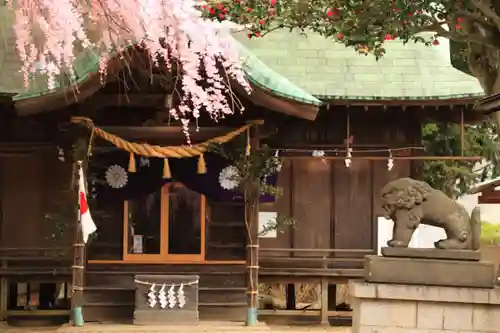 三島八幡神社の狛犬