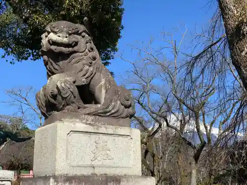 富士山本宮浅間大社の狛犬