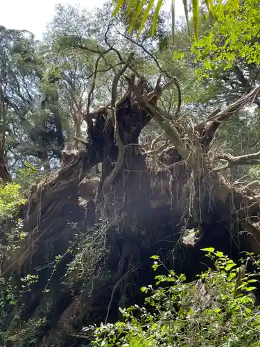 神峯神社(高知県)