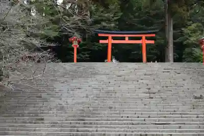 霧島神宮(鹿児島県)
