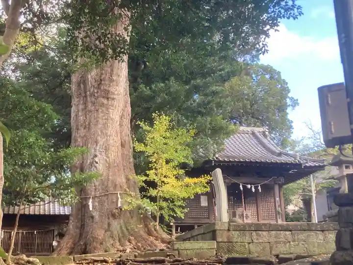 五霊神社(神奈川県)