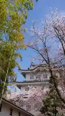 行田八幡神社(埼玉県)