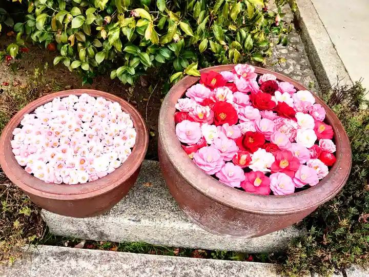 霊鑑寺門跡(京都府)