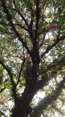 感通寺(東京都)