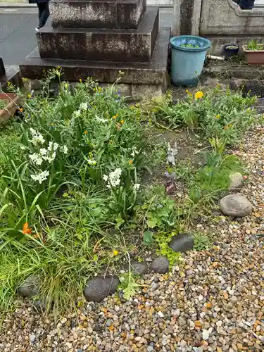 三輪神社(愛知県)