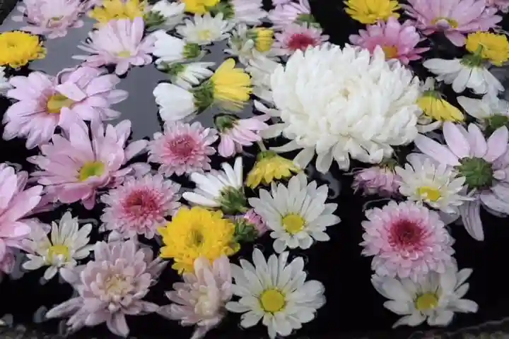 大鏑神社の手水舎