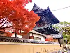 清涼寺(京都府)