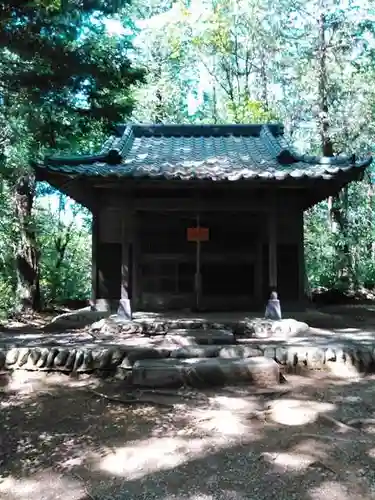 金子神社の本殿