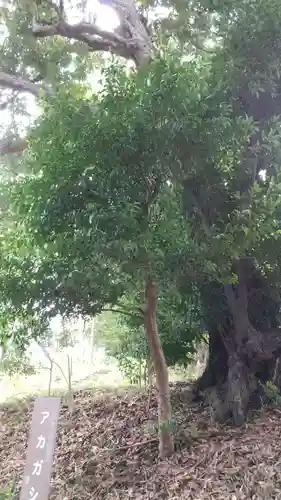 永谷天満宮(神奈川県)