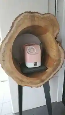 生身天満宮の周辺