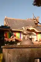 東林院(種蒔大師)(徳島県)