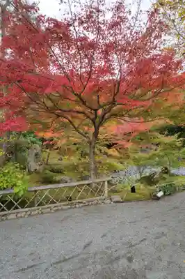 宝厳院(京都府)
