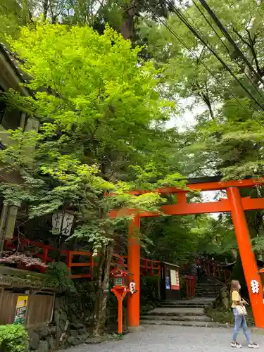 貴船神社の鳥居