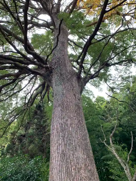 能仁寺(茨城県)