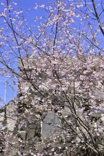 千住神社(東京都)