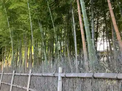 清水寺(東京都)