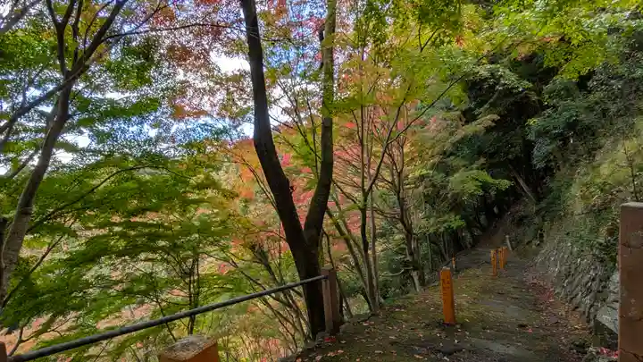 善峯寺(京都府)