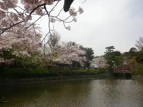 鶴岡八幡宮の庭園