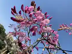 八幡大神社(埼玉県)