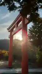 木華佐久耶比咩神社の鳥居