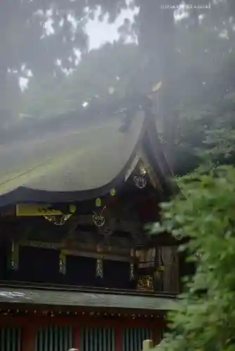 鹿島神宮(茨城県)