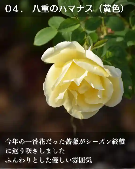 宝光寺(北海道)