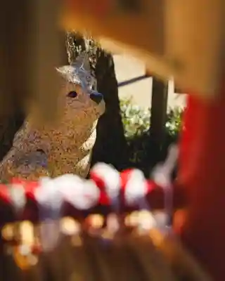 川越八幡宮(埼玉県)