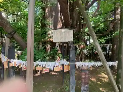 稲毛神社のその他建物