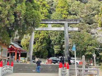 豊玉姫神社の鳥居
