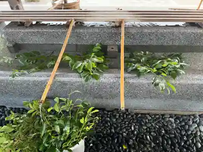 射水神社の手水舎